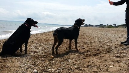 20150425 PLAGE AVRIL1