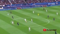 Ezequiel Lavezzi Goal - PSG vs Lille 3-0 (Ligue 1) 2015