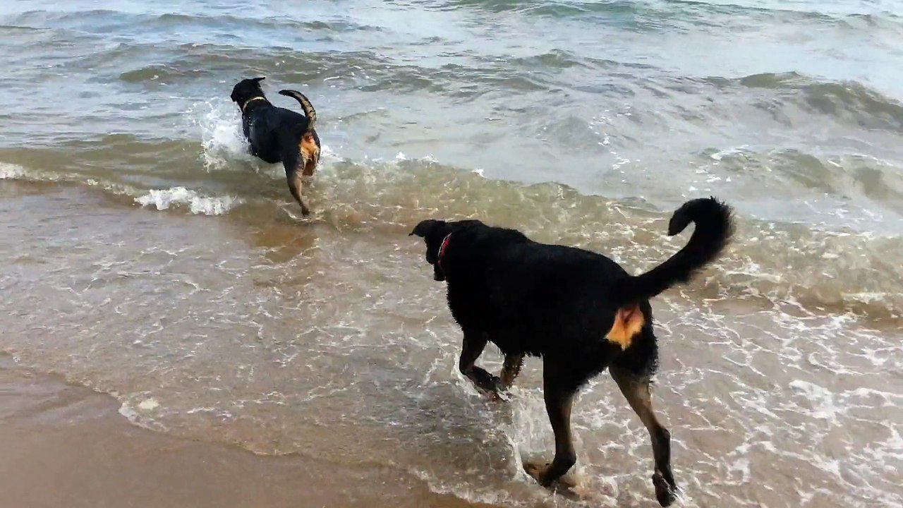 20150425PLAGE AVRIL2