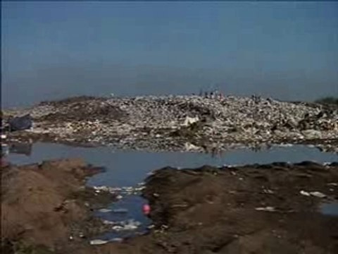 ILHA DAS FLORES Lile aux fleurs