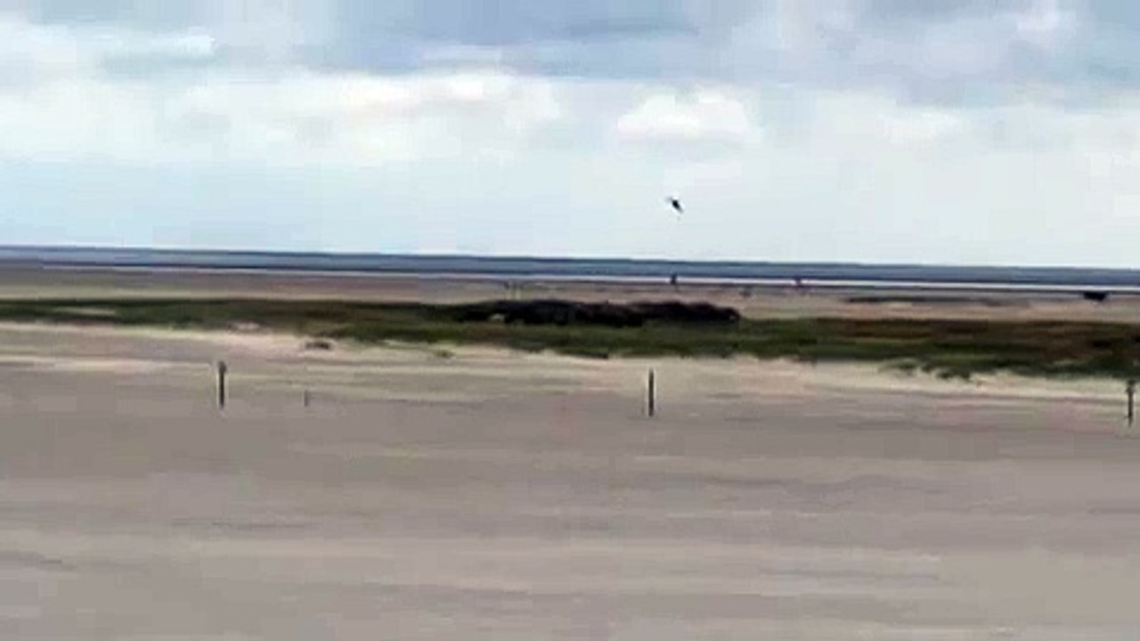 F-16 Crazy Low Pass