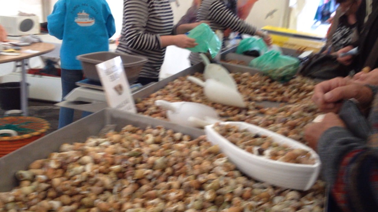 20ème Foire aux bulots à Pirou