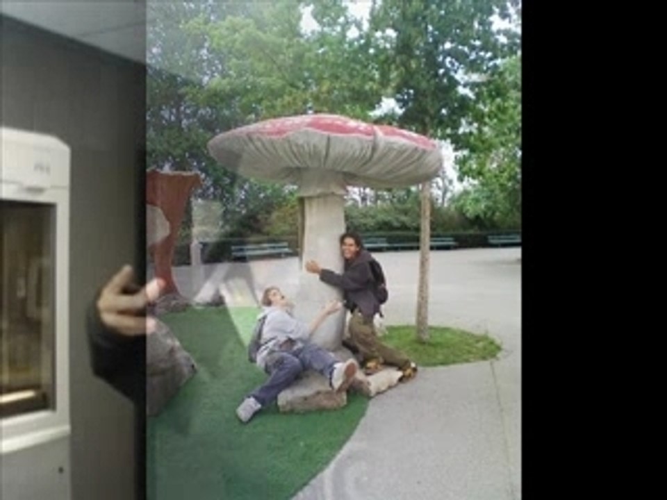 Mushroom mataw