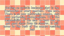 Professional Landscaping Techniques For Amateur Photographers