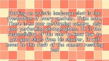 Professional Landscaping Techniques For Amateur Photographers