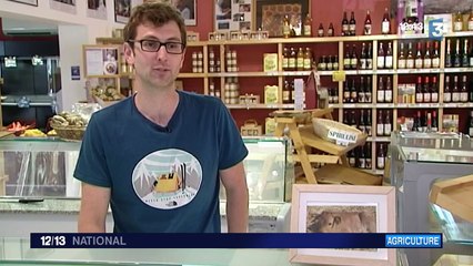 Des éleveurs de vaches font appel au financement participatif