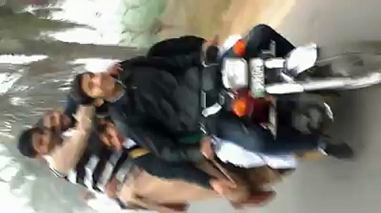 stupid 7