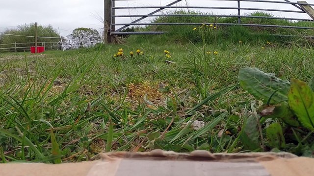 DJI Phantom 2 and H3-3d gimbal