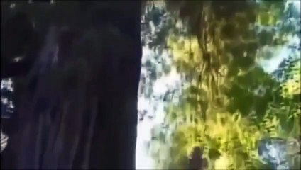 Koniec Gry - Alex Jones cz.3/3