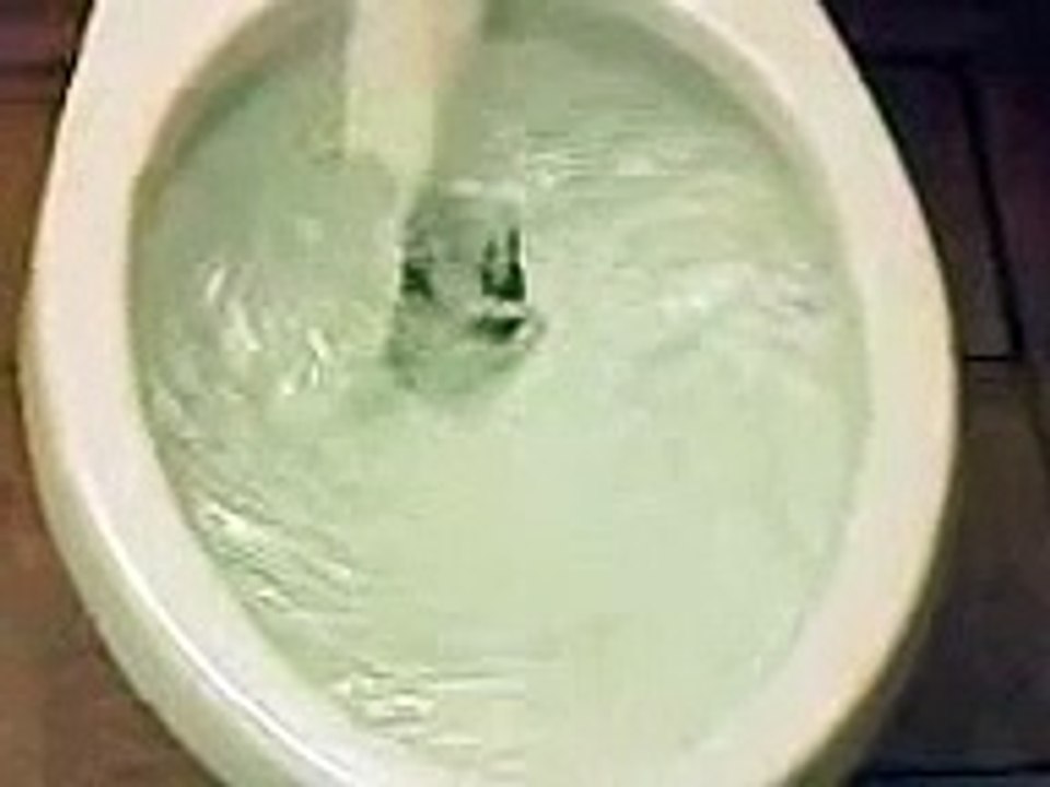 clogged toilet at walmart