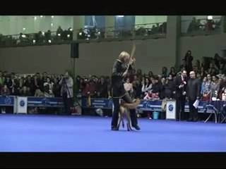 Polina Il'ina mix1
