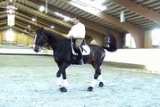 Cesar Parra on the Stages of the Training Pyramid