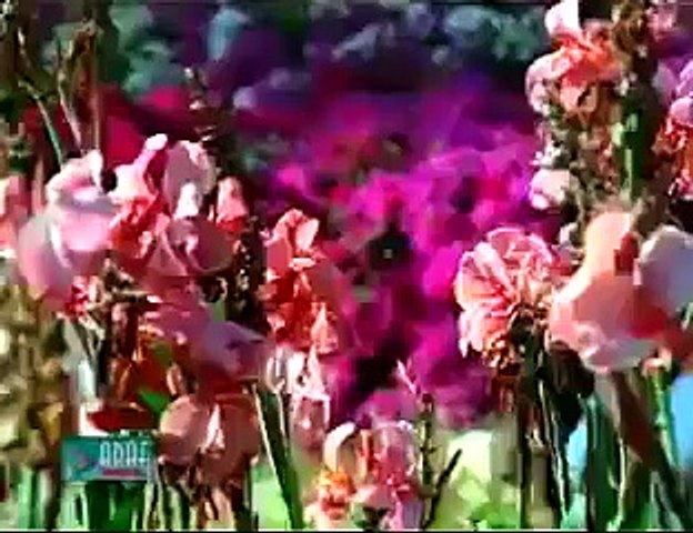 Mere Naina Sawan Bhadon | Phir Bhi Mera Man Pyasa - (MEHBOOBA - 1976)