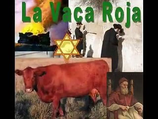 Israel - Anunciada  la construcción del tercer templo