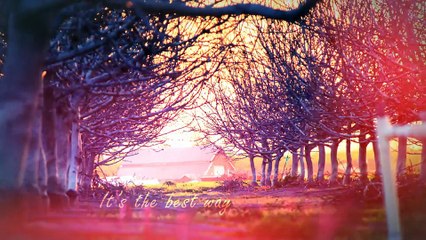 After Effects Project Files - My Wild Journey - VideoHive 9372716