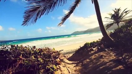 After Effects Project Files - Rosa - Exquisite Slide Show - VideoHive 9404877