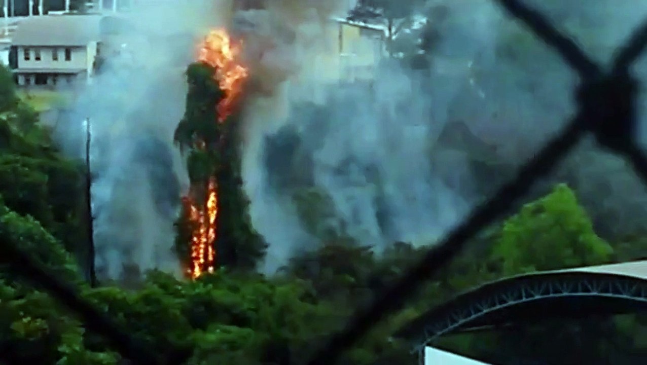 Incêndio atinge Parque da Fazendinha em Jardim Camburi, em Vitória