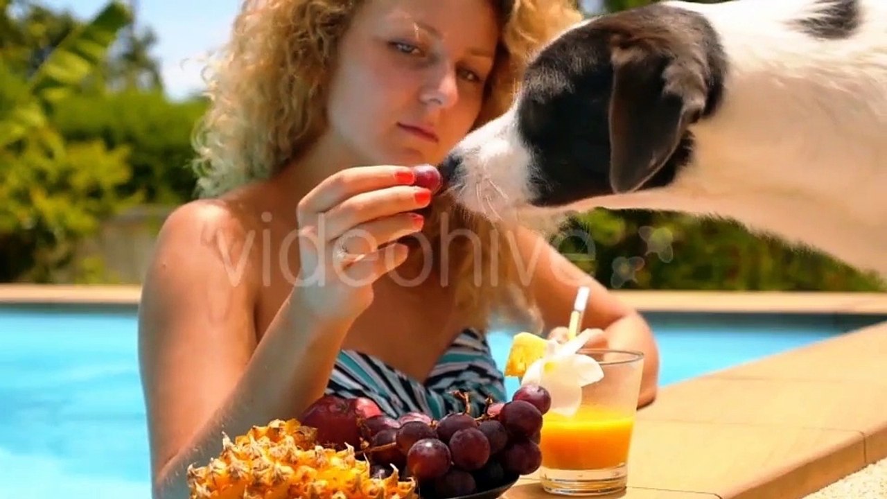 After Effects Project Files - Radiant Graphics Pack 4K - VideoHive 9410812