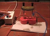V 136 physic experiments - glowing gherkin - Leuchtende Gurke