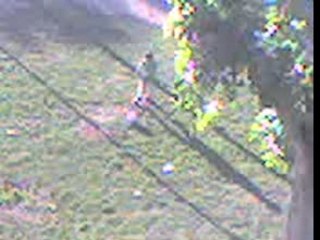 Pti frere d'abdellah (rachid)