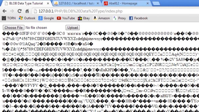 PHP: Storing/Viewing Images Stored In A database (BLOB Data Type)