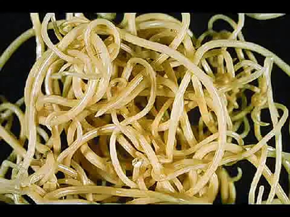 Parasitos Gusanos en el humano  y su TRATAMIENTO