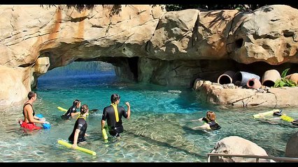 Discovery Cove  marine animals dolphins and discounts the hours