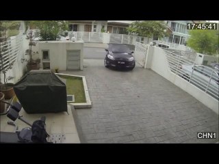 Brave Gir  Video Dailymotionl vs Snatchers -