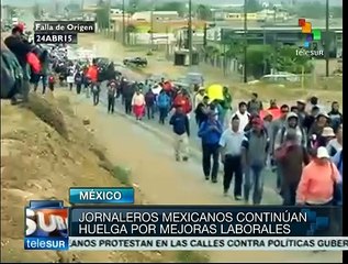 Jornaleros de San Quintín emprenderán boicot contra empresarios