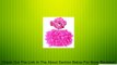 Wennikids Baby-girls Newborn Lace Bloomer Headband Set Hot Pink Review