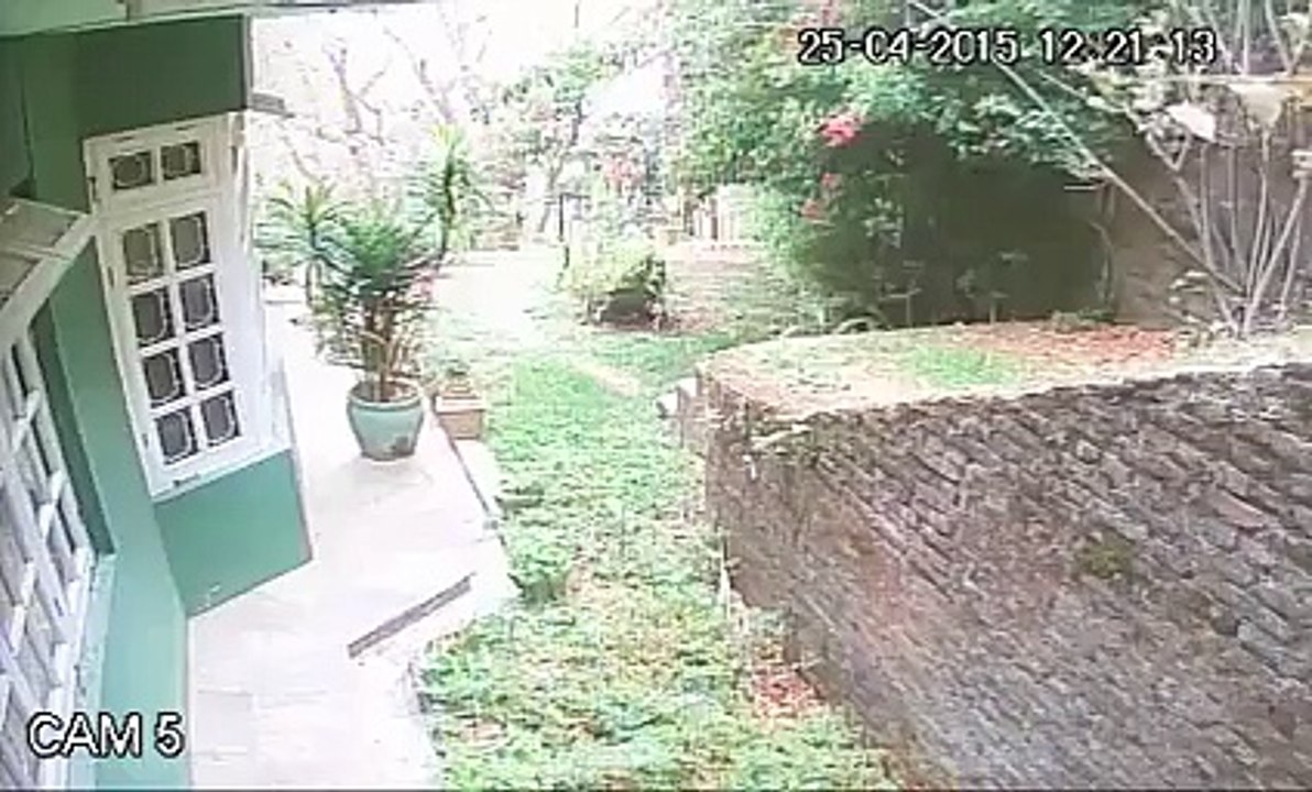 Nepal Earthquake CCTV Camera Footage | 25 April 2015 | Horrifying Footage