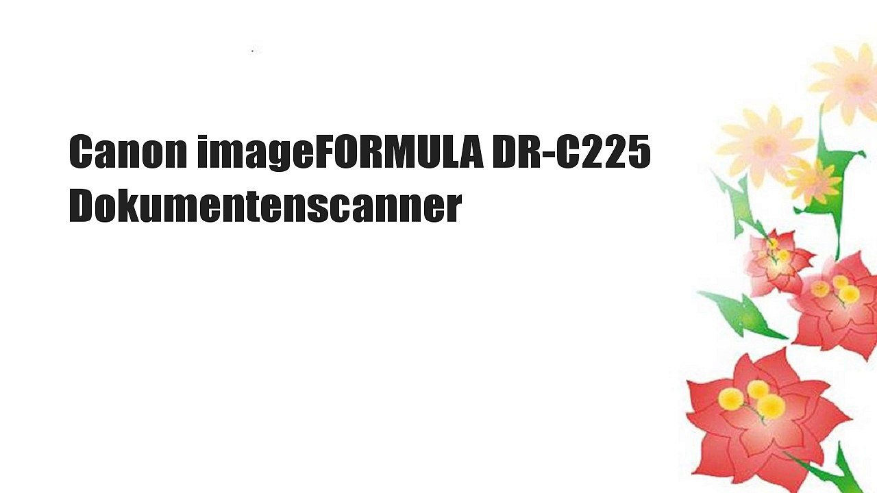 Canon imageFORMULA DR-C225 Dokumentenscanner