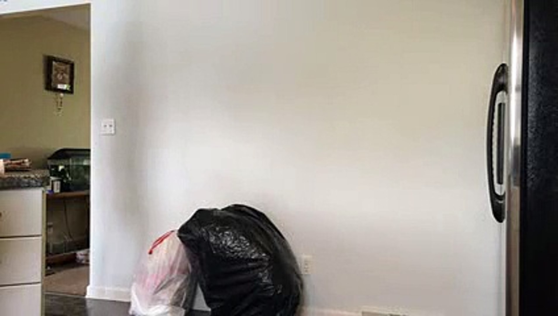 ⁣أحمق مقلب بطريقة أفلام الرعب