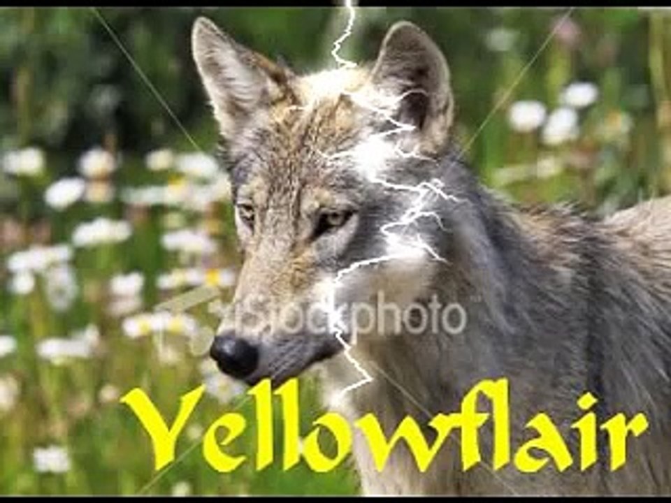 Wolf Warriors