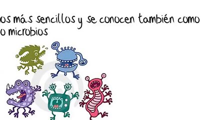 ORGANISMOS UNICELULARES Y PLURICELULARES 5ºPRIMARIA