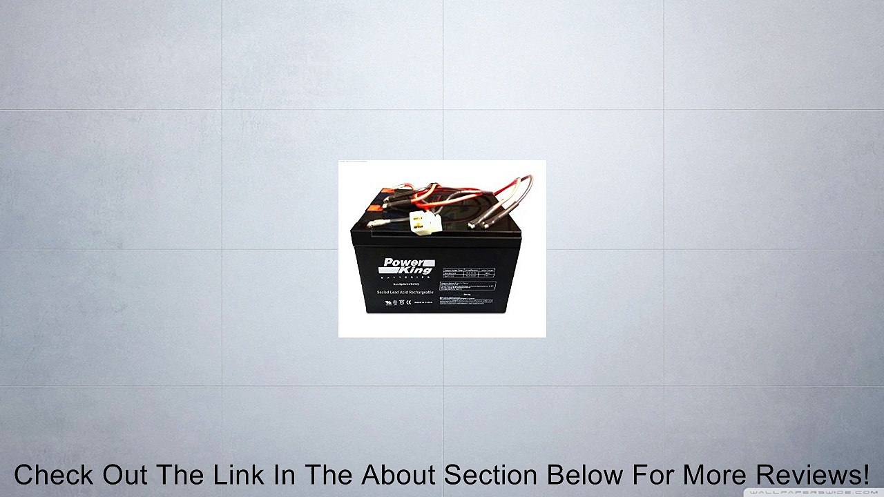 Razor E200/300 Electric Scooter Battery E200 (V13+) E300 (V11 & V13+) - W13112430185 Replacement Battery Includes Wiring Harness Beiter DC Power� Review