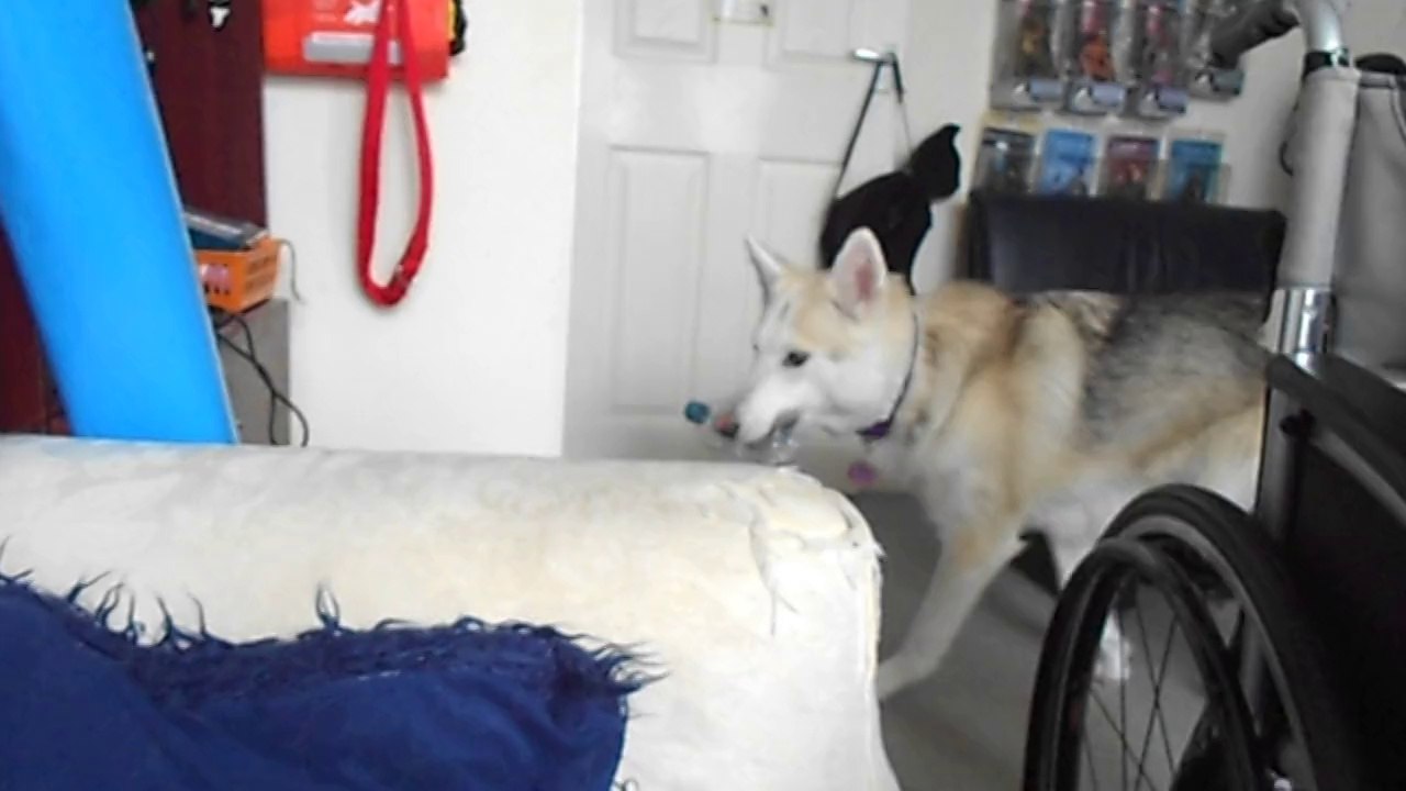 Freya putting a bottle in the recycling bin