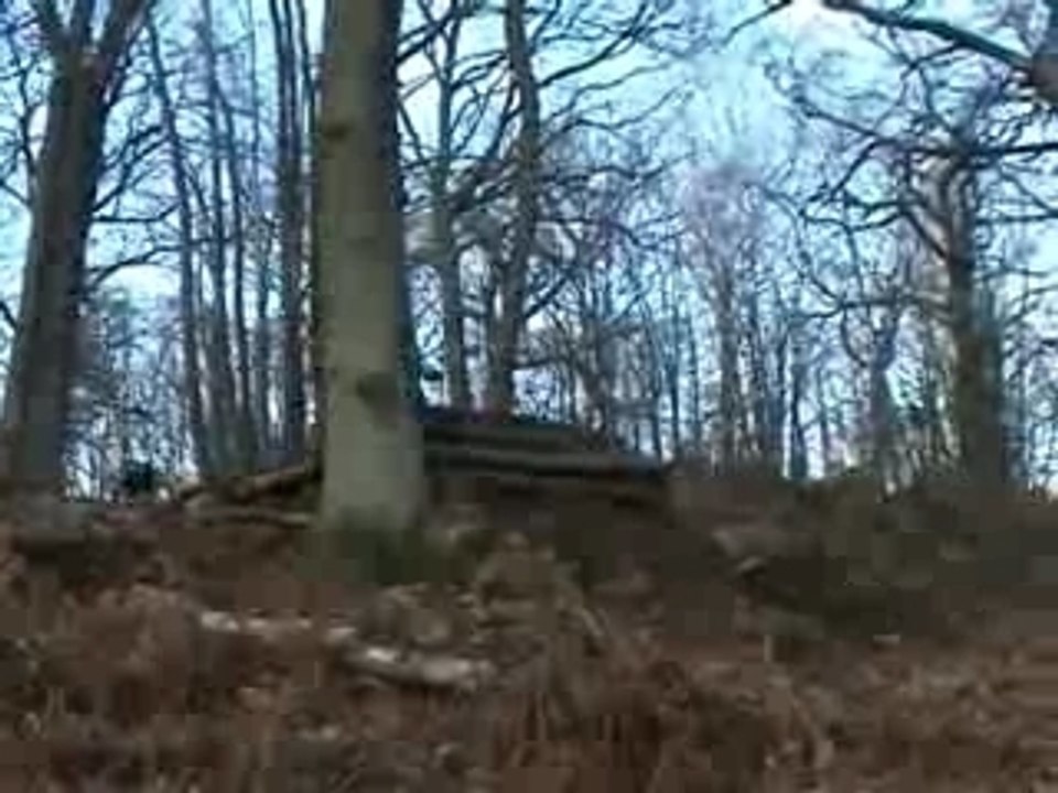 Montgriffon3