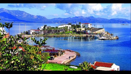 Datça Balık Avı-Shore Jigging amberjack