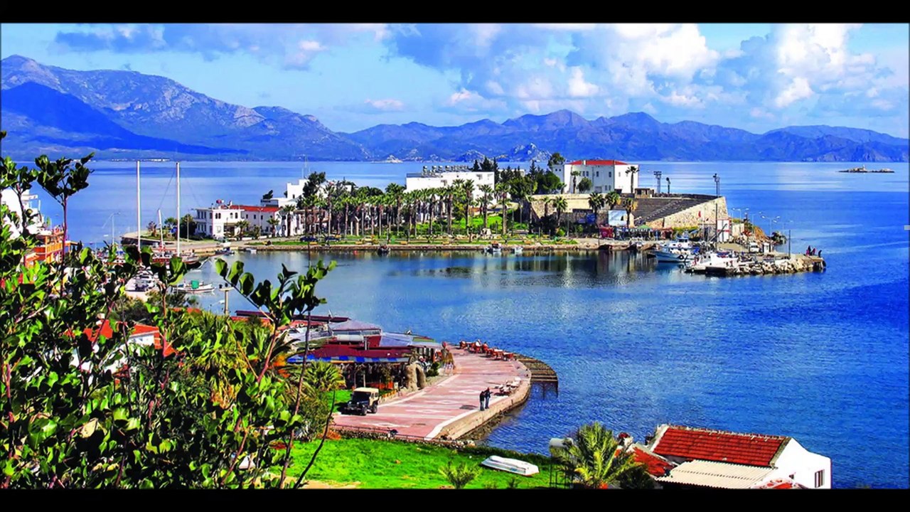 Datça Balık Avı-Shore Jigging amberjack