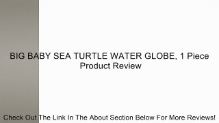 BIG BABY SEA TURTLE WATER GLOBE, 1 Piece Review