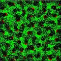 Computer simulation of neurons firing in clustered bursts.