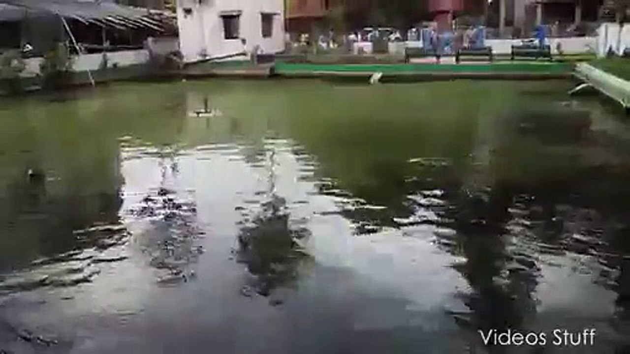 Earthquake in India- 25 April, 2015