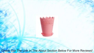 KINGSO Crown Lace Flower Pot Plastic Planter Review