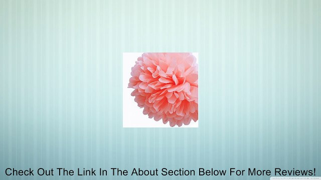 Funnie - 6 -30 Pom Poms in 23 Colors Tissue Paper Flowers For Celebrate Decoration/Party/Wedding Blooms Ball- Fluffy Hanging Lantern (Pack of 4) Review