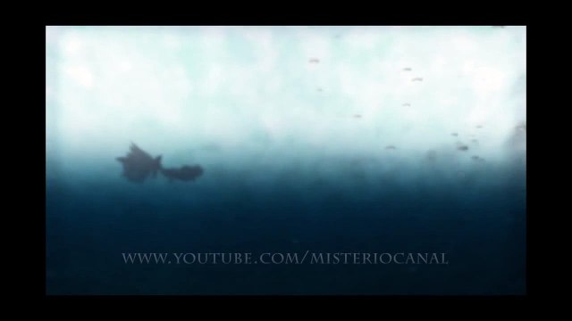 SIRENA REAL GRABADA EN EL FONDO DEL MAR 2013 mermaid real