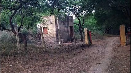 Ghost figure appeared and moves toward cabin