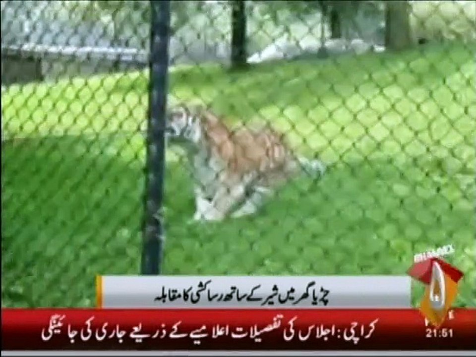 Syed Aamir Shah 1st Report on liaqat ali khan