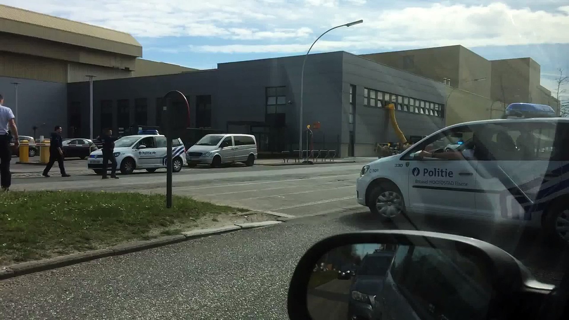 ⁣Zebras on the loose in Brussels