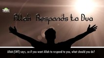 Allah Responds to Dua By Shaikh Bilal Assad